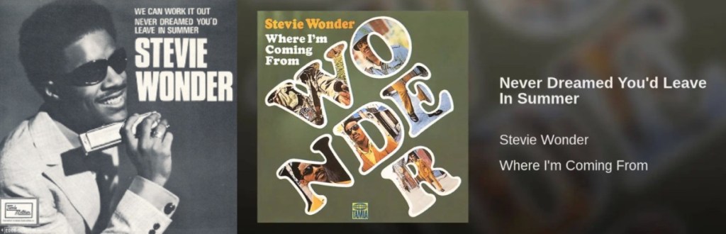 Stevie Wonder