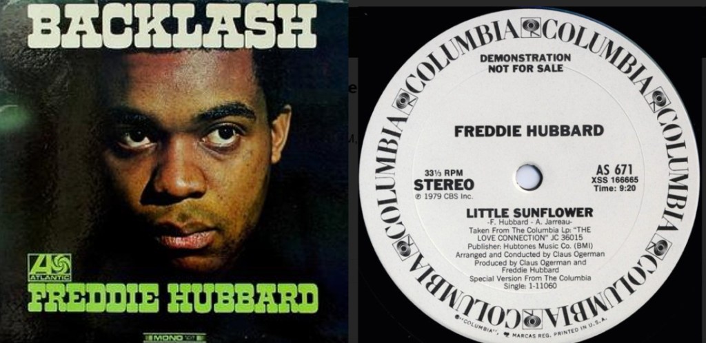 Hubbard - Little Sunflower