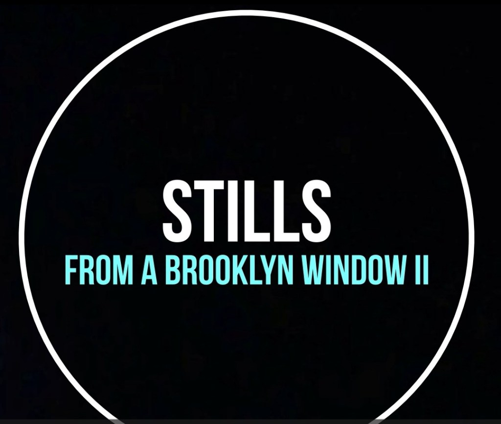 Stills from a Brooklyn Window II